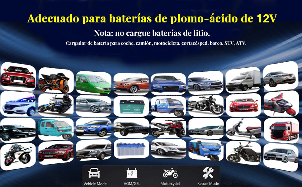 Cargador De Bateria De Pulso Inteligente