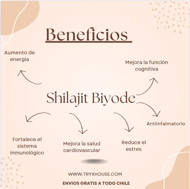 Shilajit Himalaya Biyode (30 gr.)