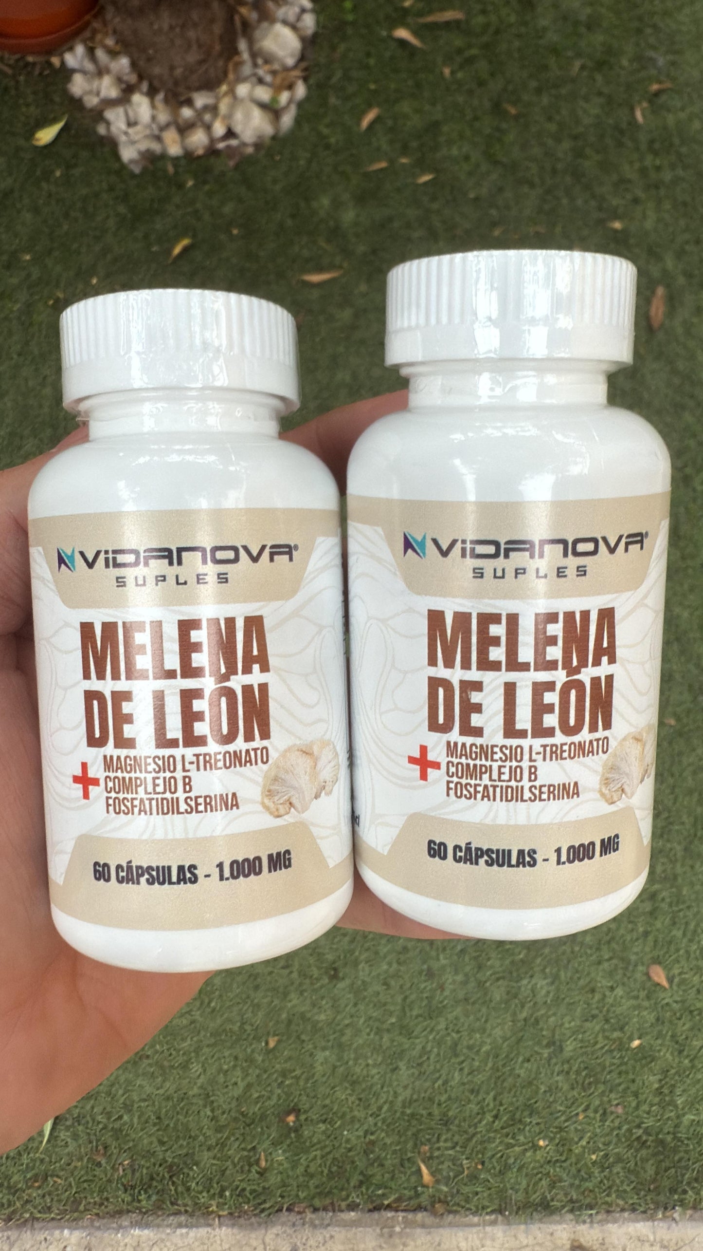 Melena de León Fortificada (60 Capsulas)