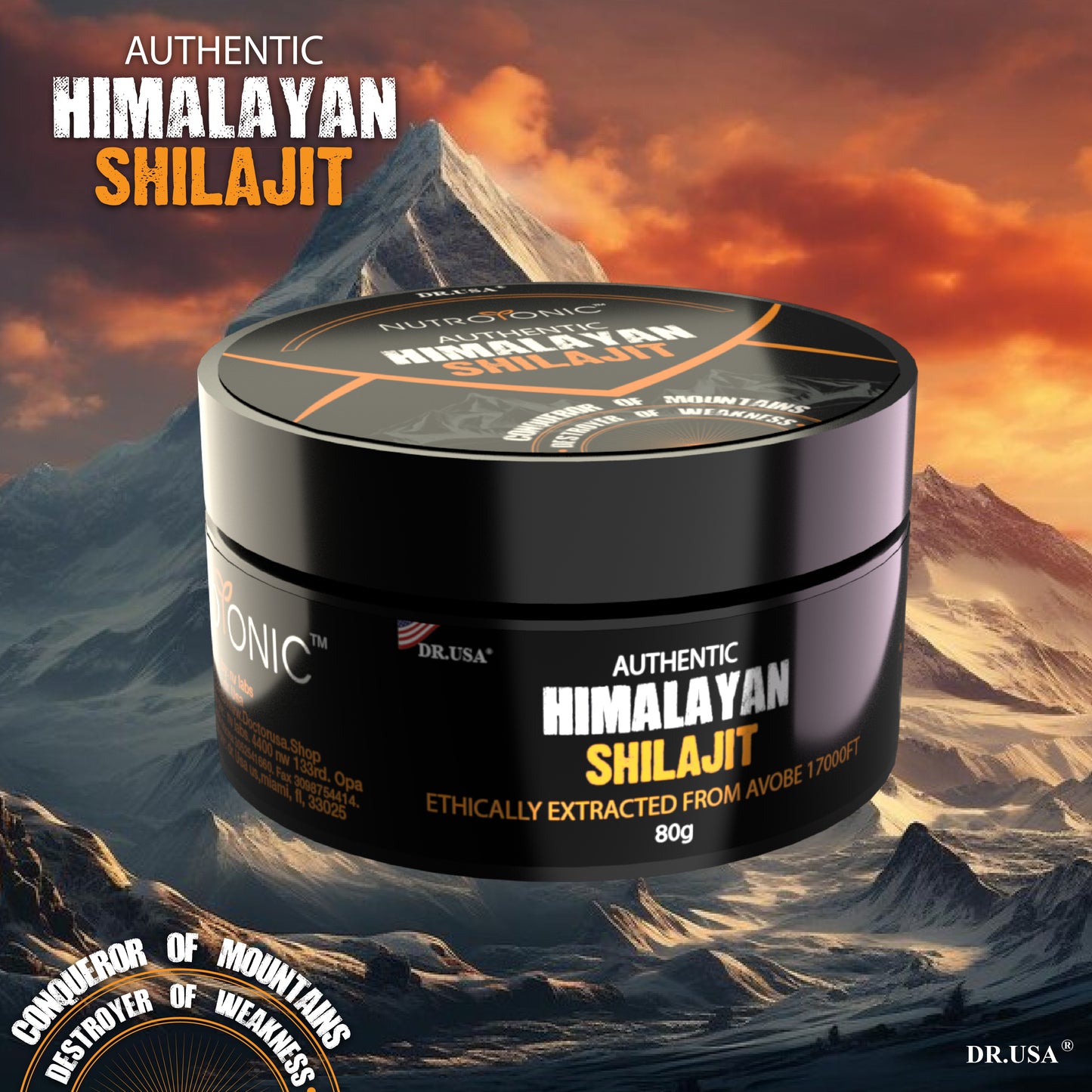 Shilajit Original Himalaya